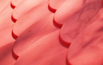 Craig Douglas plastic roof costs