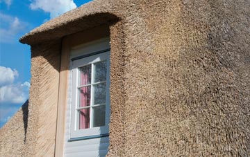 Craig Douglas thatch roof disadvantages