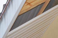 rated Craig Douglas soffit repair companies